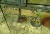Sklep zoologiczny 