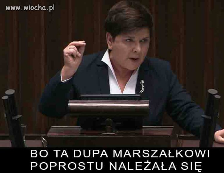Ksywka  "członek"
