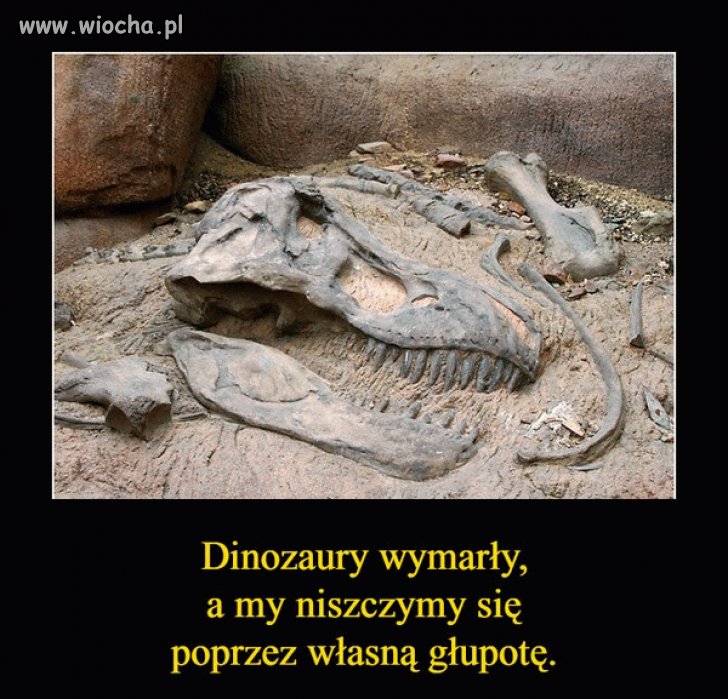 Prawda o ludziach