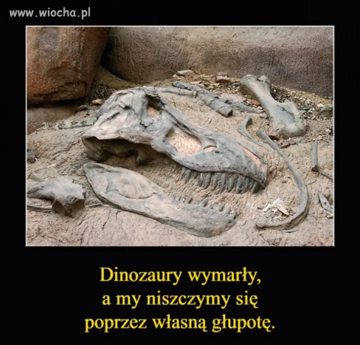 Prawda o ludziach