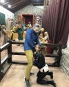 Gdy idioci pójdą zwiedzać