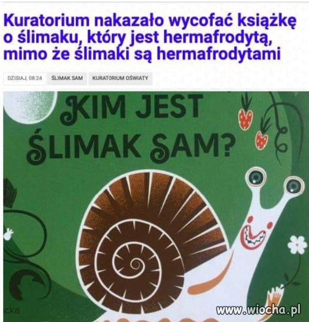 Lepiej tłuc dzieciakom do głów