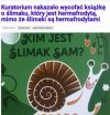 Lepiej tłuc dzieciakom do głów