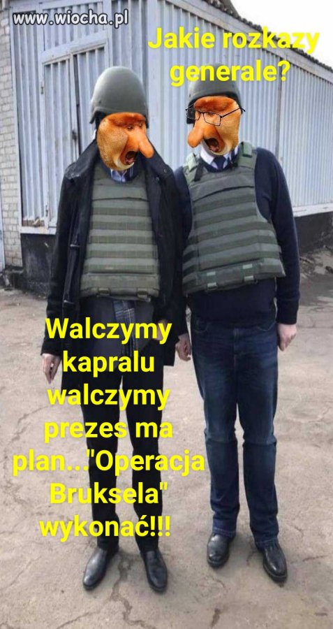 Orły PiS-u 