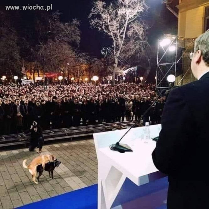 Bo gdy Suski przemawia...