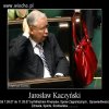 Czy to torebka prezesa?