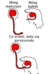Nić porozumienia