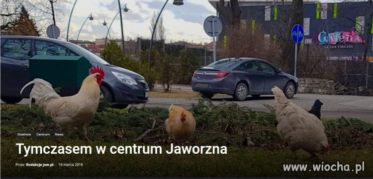 Wieś Jaworzno Wita