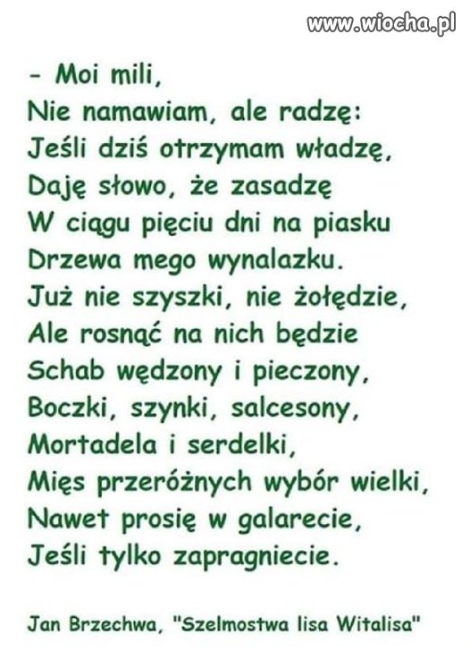 Nawiązując do obietnic