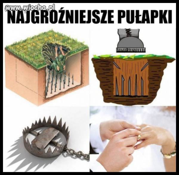 Świat jest naszpikowany pułapkami