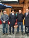 Cebrzyk w kapeluszu 