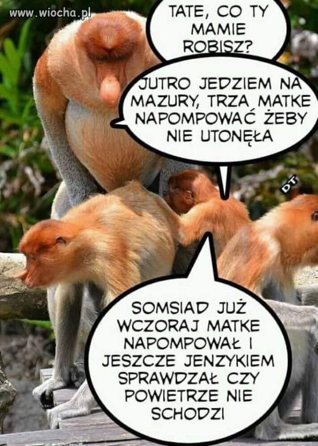 Pompuj Janusz