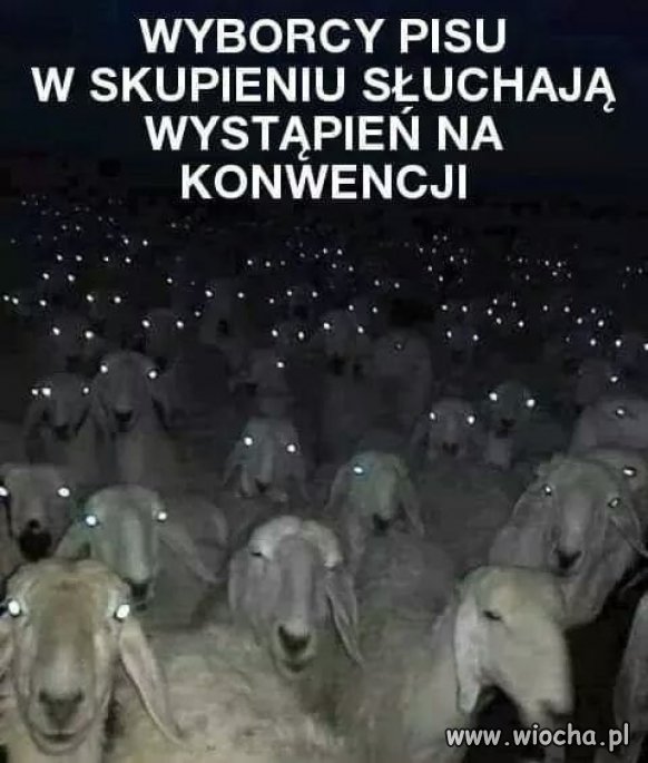 Tymczasem na konwencji pis.