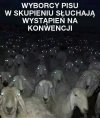 Tymczasem na konwencji pis.