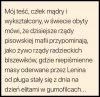 Trudno zaprzeczyć...patrząc