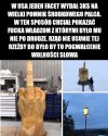 Pozdrowienia dla naszego rządu!