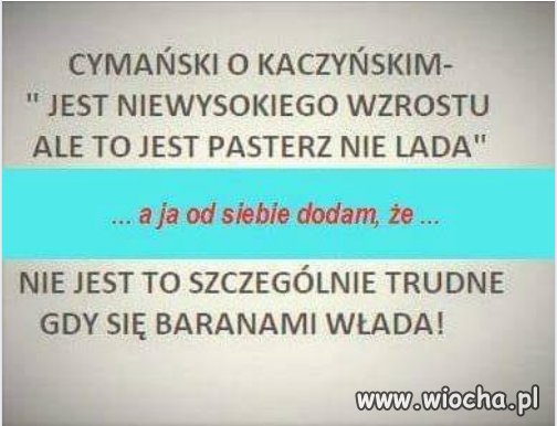 Zdecydowanie