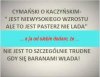 Zdecydowanie