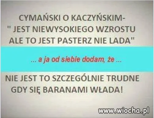 Zdecydowanie