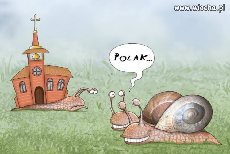 Coś w tym jest...