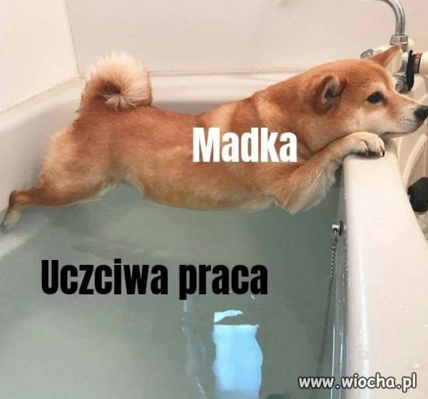 Heheszki