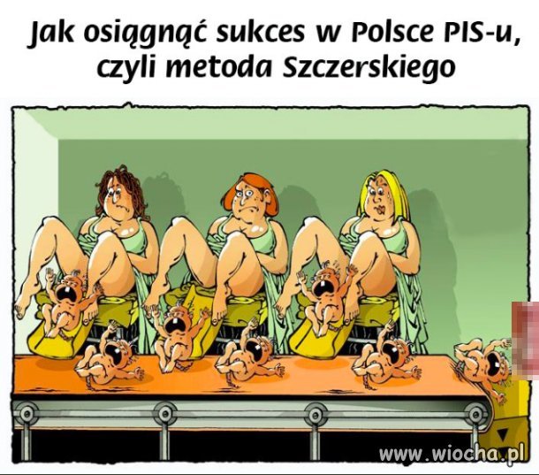 Politycy pis i ich pomysły