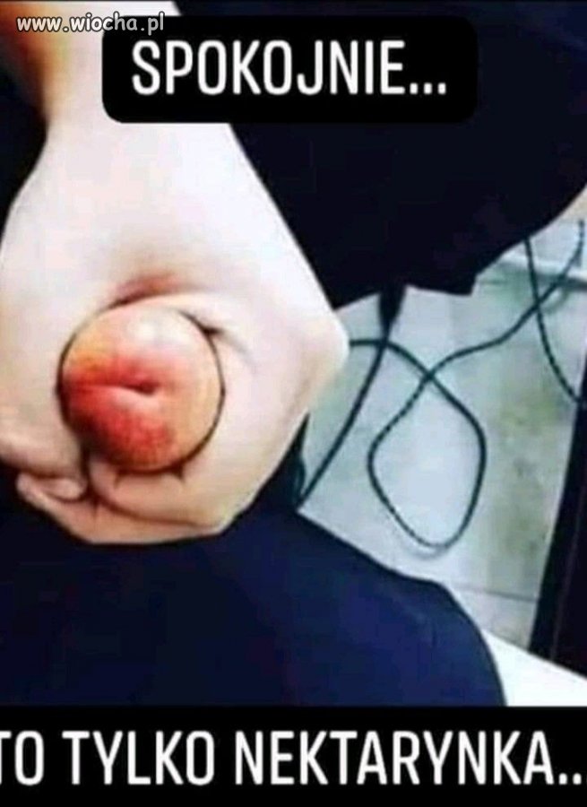 Owoce