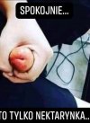 Owoce