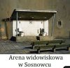 Arena widowiskowa 