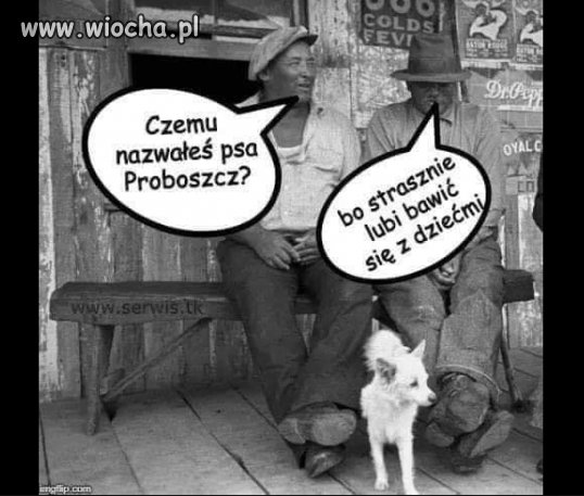 Proboszcz