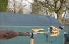 Czyj to rower?