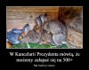 PiS owska oferta nie tylko dla nauczycieli ...