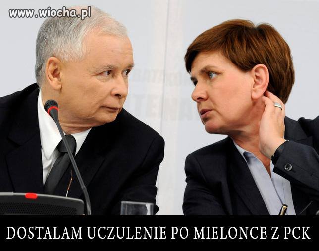Kradzione nie tuczy
