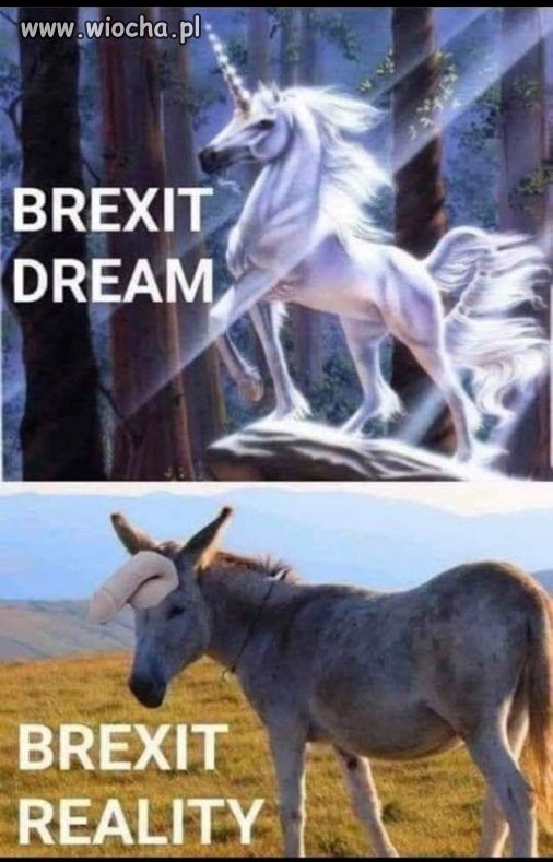 Miało być tak pięknie...