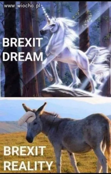 Miało być tak pięknie...