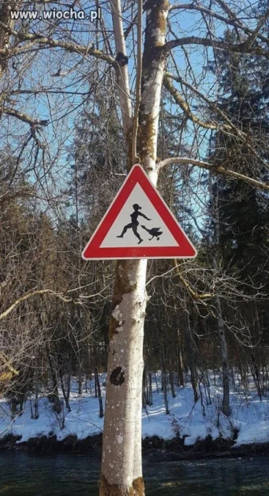 Ktoś zna historię tego znaku?