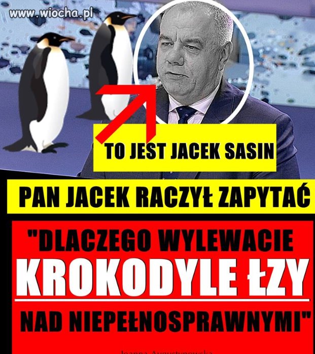 Niepełnosprytny