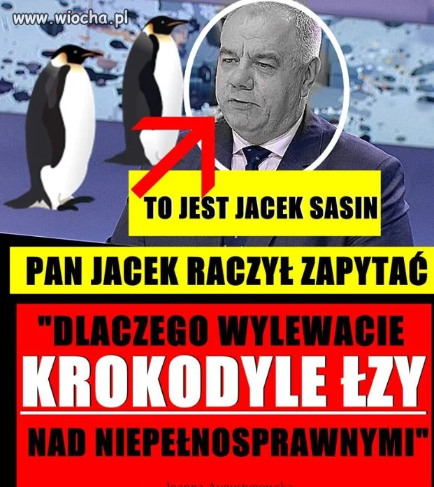 Niepełnosprytny