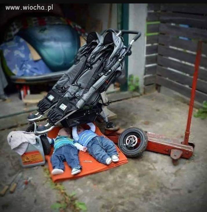 Czym skorupka za młodu 