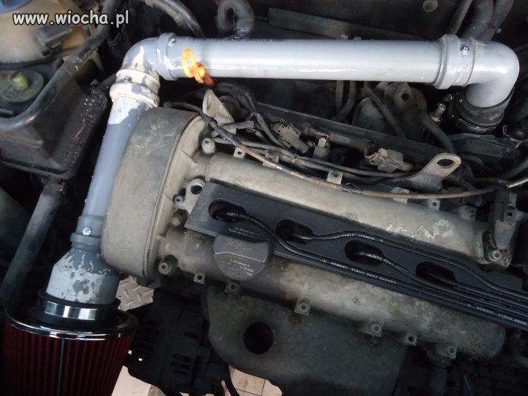 Tuning GULFA +10 Kuców więcej