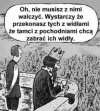 Dyplomacja