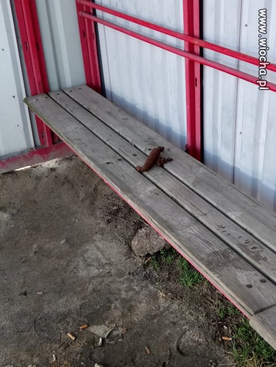 Pasuje jak ulał na portal... 