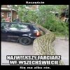 Szczęście