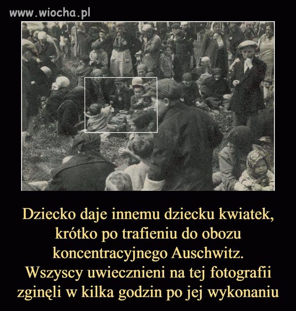 Lekcja historii