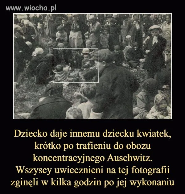 Lekcja historii