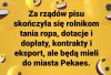 Niezbyt dobrze
