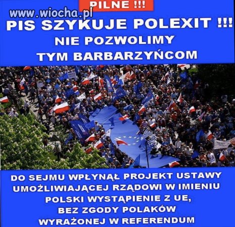 PiS szykuje polexit...