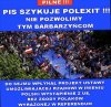 PiS szykuje polexit...