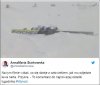 Skandaliczny wpis posłanki Sierakowskiej 