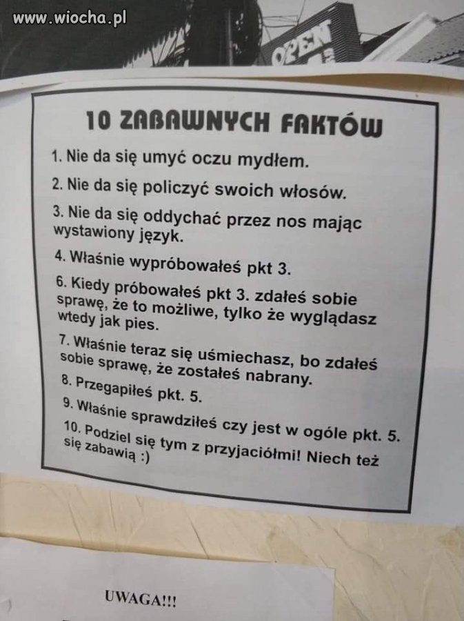 10 Faktów 